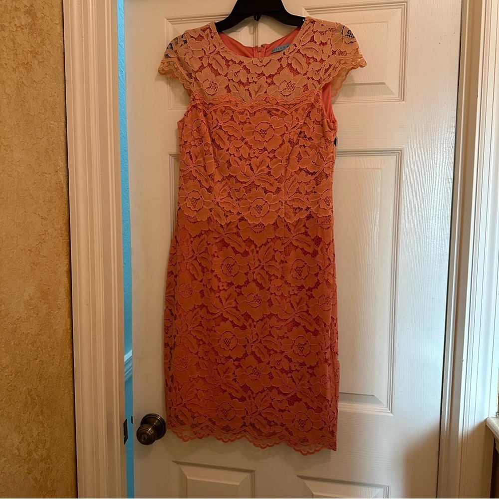 NWT Antonio Melani Lined Lace Dress with Capped Sleeves in Coral Color Size 4